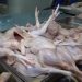 El dirigente Apolinar Leyba hijo advirtió que algunos sectores promueven falsa percepción de escasez de la carne de pollo.