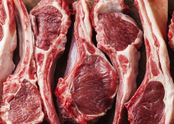 Durante el primer trimestre la producción acumulada del renglón ovino ascendió a 3,457 kilogramos, en tanto que la caprina totalizó 3,314 kilogramos.