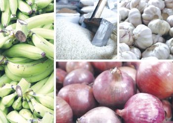 De acuerdo con datos del Banco Agrícola, el arroz es el rubro que más financiamiento ha recibido.