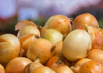 De acuerdo con datos del Ministerio de Agricultura, en 2024 se produjeron 2.5 millones de quintales, mientras que el consumo fue de 3.6 millones.