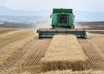 Según el pronóstico de la FAO, la utilización total de cereales a nivel mundial entre 2024 y 2025 aumentará hasta situarse en 2,856 millones de toneladas, un 0.5% más que el período anterior, impulsada por el arroz y los cereales secundarios.
