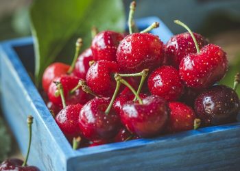 Las cerezas con destino al norte de China se transportaban principalmente por carretera desde puertos del sur o por servicios aéreos. Fuente externa.
