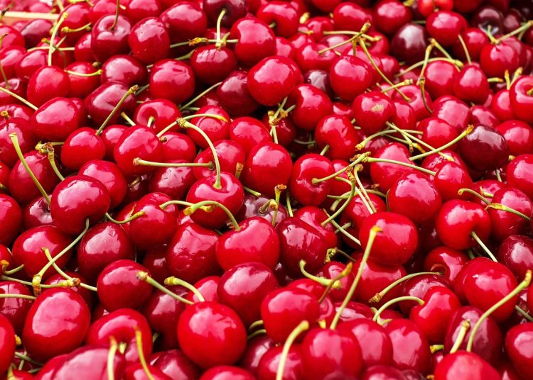 Esta iniciativa, que ha arrancado en febrero y con un presupuesto de AECID de 235,784 euros. | Pixabay.