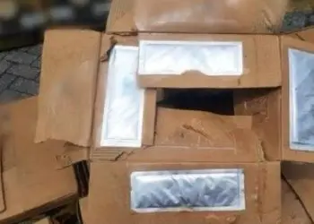 Presuntamente una persona con supuesta dirección en Villa Mella, Los Guaricanos, enviaba la caja a un hombre residente en Hillegersberg, Róterdam, según el manifiesto.