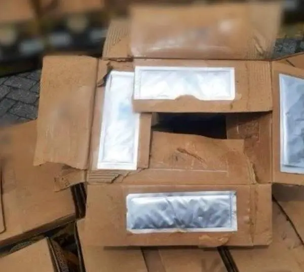 Presuntamente una persona con supuesta dirección en Villa Mella, Los Guaricanos, enviaba la caja a un hombre residente en Hillegersberg, Róterdam, según el manifiesto.