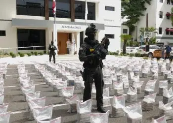 Las autoridades dominicanas, junto a la DEA de Estados Unidos, pusieron en marcha en las últimas horas la denominada "Operación Panthera 7" contra la red criminal a la que se le ocupó el alijo.