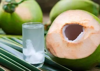 De acuerdo con datos del Ministerio de Agricultura, el consumo de coco en el país pasó de 7.8 millones de quintales en 2015 a 12.6 millones en 2023, lo que representa un crecimiento de 60.3% en ese período.