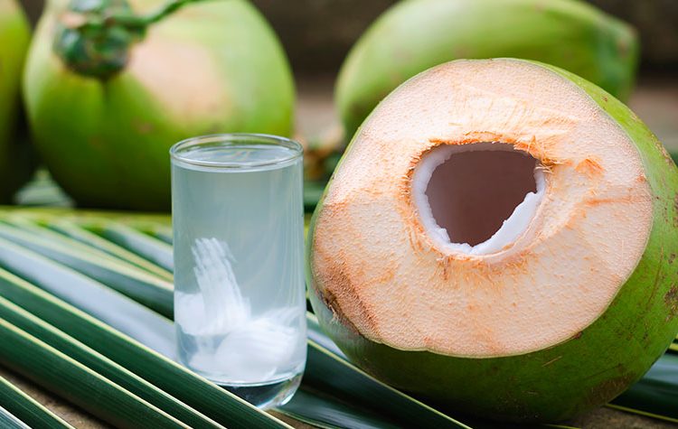 De acuerdo con datos del Ministerio de Agricultura, el consumo de coco en el país pasó de 7.8 millones de quintales en 2015 a 12.6 millones en 2023, lo que representa un crecimiento de 60.3% en ese período.