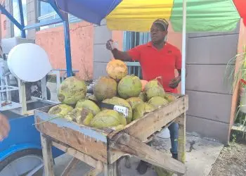 A pesar de la informalidad del negocio, estos vendedores no están regulados por ninguna entidad oficial, lo que significa que no pagan impuestos ni cotizaciones laborales.