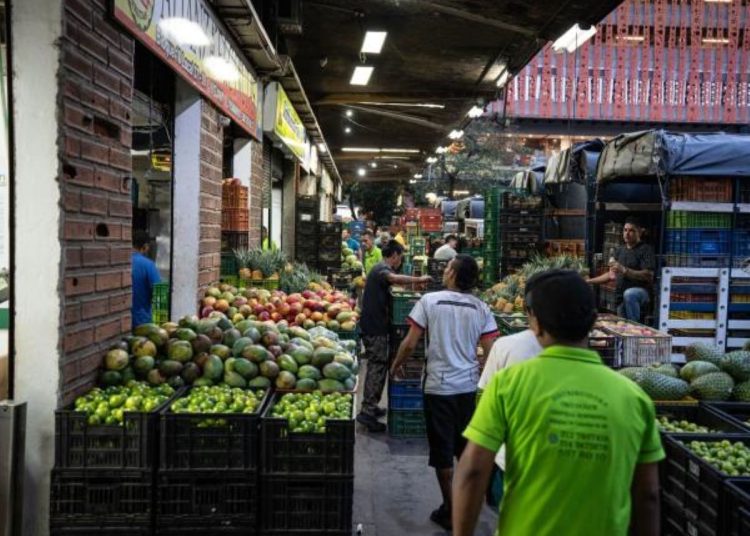La agricultura, ganadería, caza, silvicultura y pesca bajaron 2.1%.