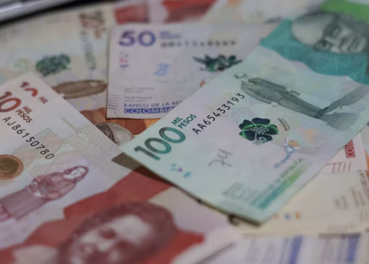 El sector primario lideró el impulso de la economía con un crecimiento del 3.1% frente a 2024.