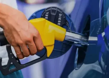 Gobierno aumentó los costos de cuatro combustibles de menor uso.