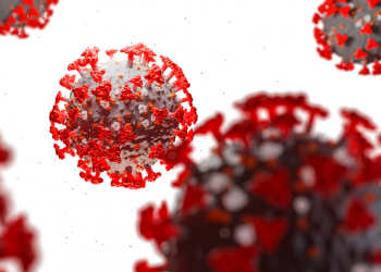 coronavirus covid-19