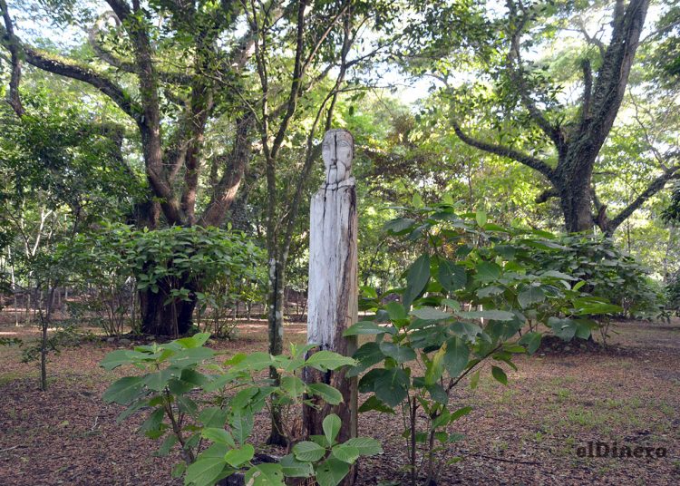 El Corredor Ecológico es una  iniciativa que aspira a constituirse como jardín botánico del Nordeste.