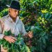 Al cierre de diciembre de 2024, la cartera de créditos agropecuarios alcanzó los RD$127,220 millones. Fuente / SB.