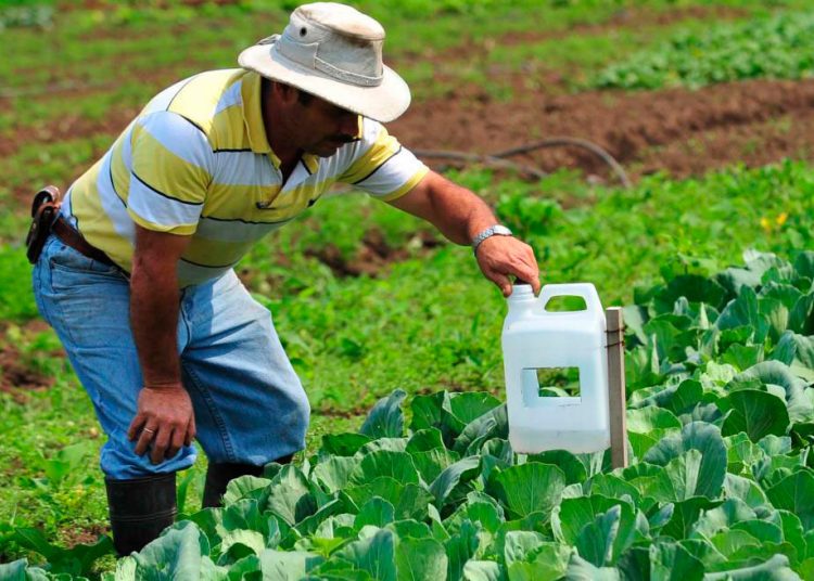 En 2024 la cartera agropecuaria del sector financiero, incluyendo Bagrícola, fue de RD$127,220 MM.