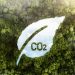 Paraguay apuesta al mercado de créditos de carbono como nueva fuente de ingresos y desarrollo sostenible.