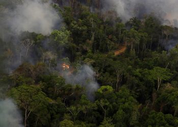 Los ministros reconocieron "la naturaleza interconectada de los desafíos y las crisis ambientales mundiales.