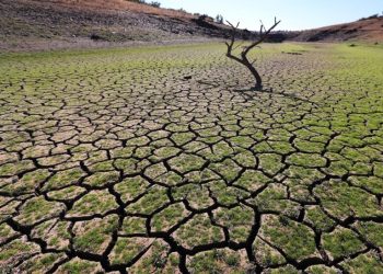 El 54% de los encuestados cree que tendría que trasladarse a otra región o país por cuenta de la crisis climática. EFE/Nuno Veiga