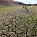 El 54% de los encuestados cree que tendría que trasladarse a otra región o país por cuenta de la crisis climática. EFE/Nuno Veiga