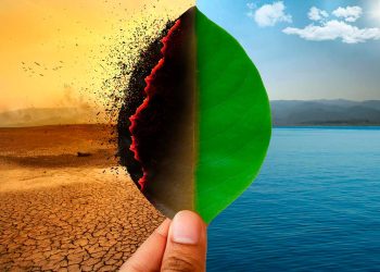 Crisis climática. - Fuente externa.