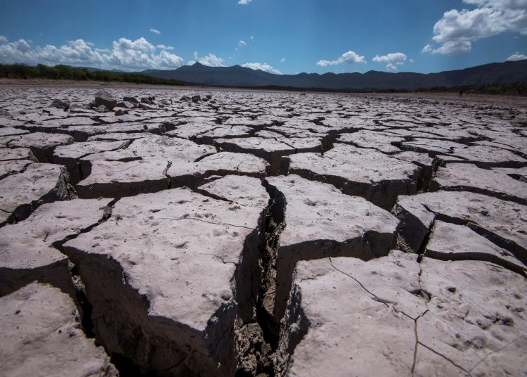 Estos fondos se articulan a través de intermediarios financieros como bancos o fideicomisos y otorgan préstamos y donaciones. | Miguel Sierra. EFE