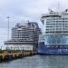 Mauricio Hamui, CEO de Puerto Taíno Bay, indicó que el puerto ya opera con una amplia oferta de excursiones, que supera las 60 opciones.