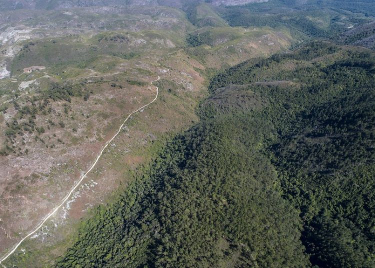 En Pedernales e Independencia se han registrado pérdidas de 197.4 km² y 145.5 km², respectivamente.