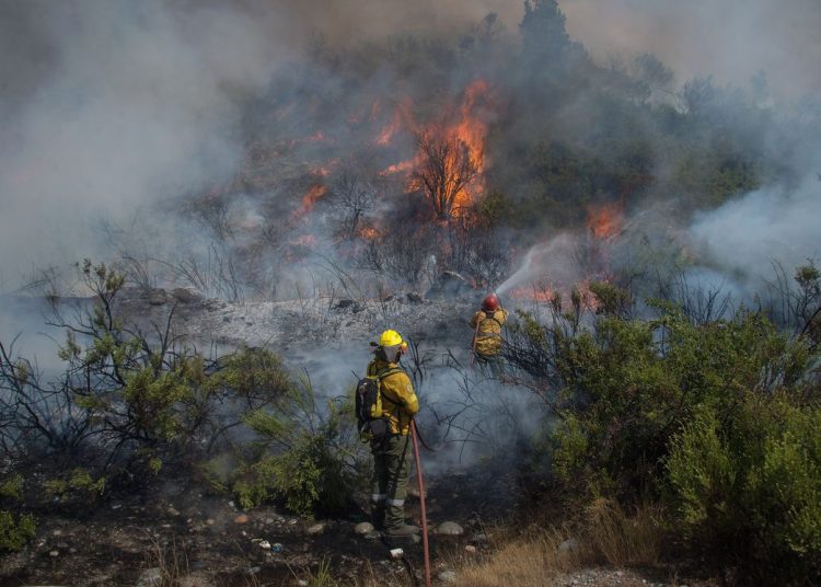 Respecto a los incendios forestales, el documento subraya que en 2024 hubo una reducción en el número de incendios registrados con relación a 2023.