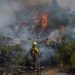 Respecto a los incendios forestales, el documento subraya que en 2024 hubo una reducción en el número de incendios registrados con relación a 2023.