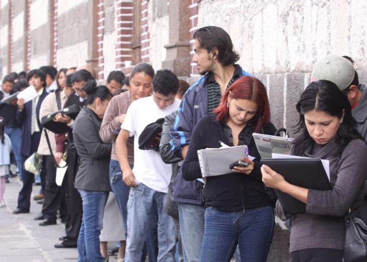 La brecha de género es especialmente alarmante entre los jóvenes "ninis" (sin estudio, formación o empleo), ya que la proporción de mujeres jóvenes en esta situación en la región casi duplica a la de los hombres, con un 26% y un 13.6%, respectivamente.