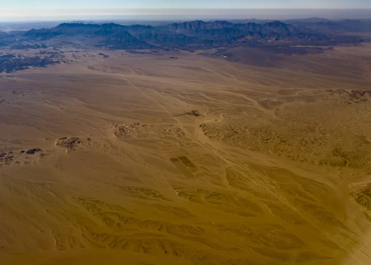 Egipto busca reforzar su producción agropecuaria mediante inversiones de gran escala.