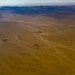 Egipto busca reforzar su producción agropecuaria mediante inversiones de gran escala.