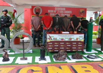 Más de 388,000 miembros de la Fuerza Armada Nacional Bolivariana (FANB) y de los distintos cuerpos de seguridad del Estado fueron desplegados en los 335 municipios de Venezuela para resguardar la seguridad del proceso electoral.