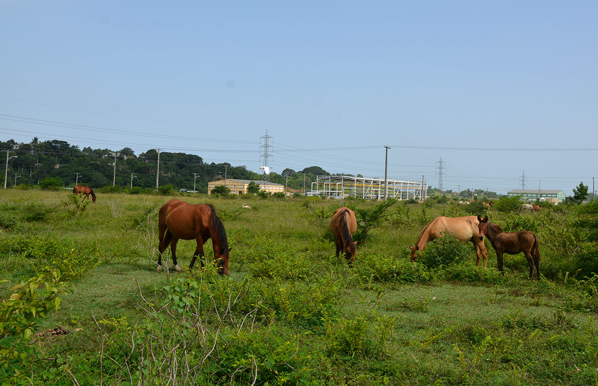disdo distrito industrial santo domingo oeste
