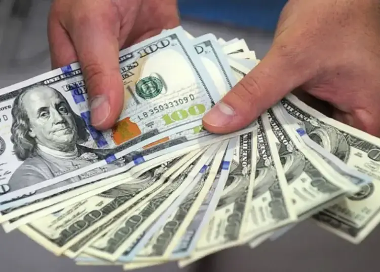 Durante el 2024 la devaluación del peso frente al dólar fue de un 5%.