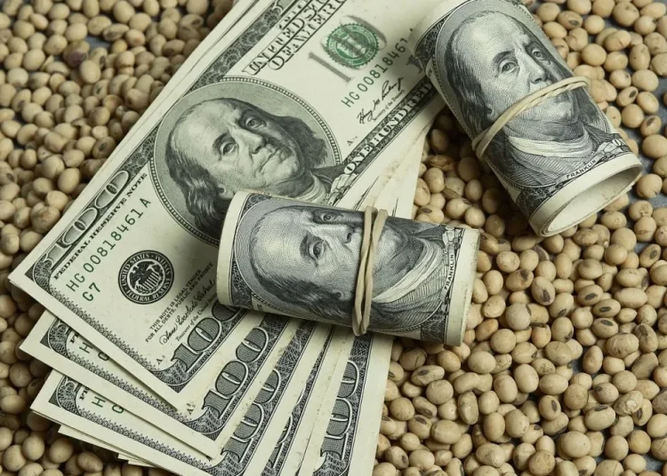 Según el comunicado, julio ha sido el mejor mes en lo que va de este año en ingreso de divisas de la agroexportación.