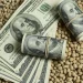 Según el comunicado, julio ha sido el mejor mes en lo que va de este año en ingreso de divisas de la agroexportación.