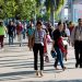 Japón, Suiza, Alemania, Suecia y Dinamarca lideran el “top 5” en la clasificación, donde figura República Dominicana. - Fuente externa.