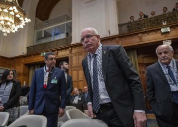 Riyad Mansour, en la Corte Internacional de Justicia (CIJ). - Fuente externa.