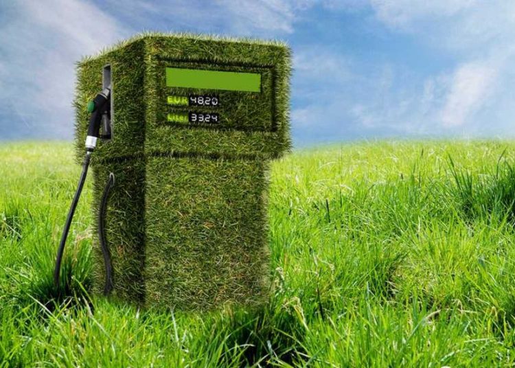 Biocombustibles - Fuente externa.