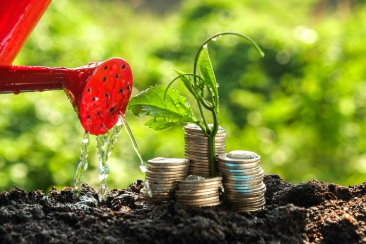 Banco Mundial insta a movilizar los financiamientos a favor de los recursos naturales hacia donde más se necesite, venciendo los obstáculos de acceso.