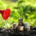 Banco Mundial insta a movilizar los financiamientos a favor de los recursos naturales hacia donde más se necesite, venciendo los obstáculos de acceso.