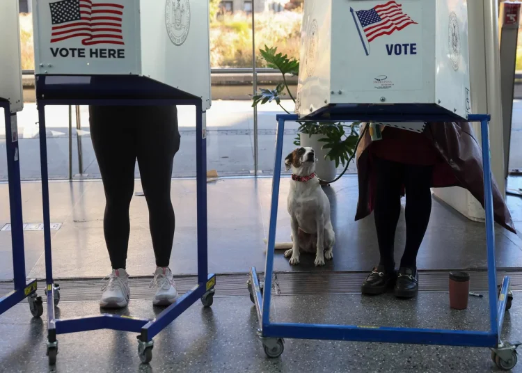 El Partido Demócrata ha focalizado sus esfuerzos en la carrera a gobernador del estado de Nueva Jersey y Virginia.