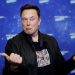 Elon Musk, propietario de Twitter - Fuente externa.