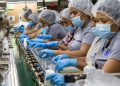 A mayo de 2026, el Sistema Dominicano de Seguridad Social (SDSS) registró 2,461,811 trabajadores cotizantes y un total de 2,561,722 cotizaciones.