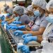A mayo de 2026, el Sistema Dominicano de Seguridad Social (SDSS) registró 2,461,811 trabajadores cotizantes y un total de 2,561,722 cotizaciones.