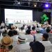 El 30% de la producción mundial de alimentos se pierde o desperdicia, según la FAO.