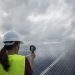 Quisqueya dispone de energía eólica, hidráulica, fotovoltaica, así como biomasa.