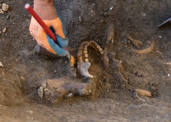 En el 2021 científicos israelíes realizaron un sondeo con radar en las ruinas de esta iglesia y encontraron tres puntos donde se localizarían osamentas.